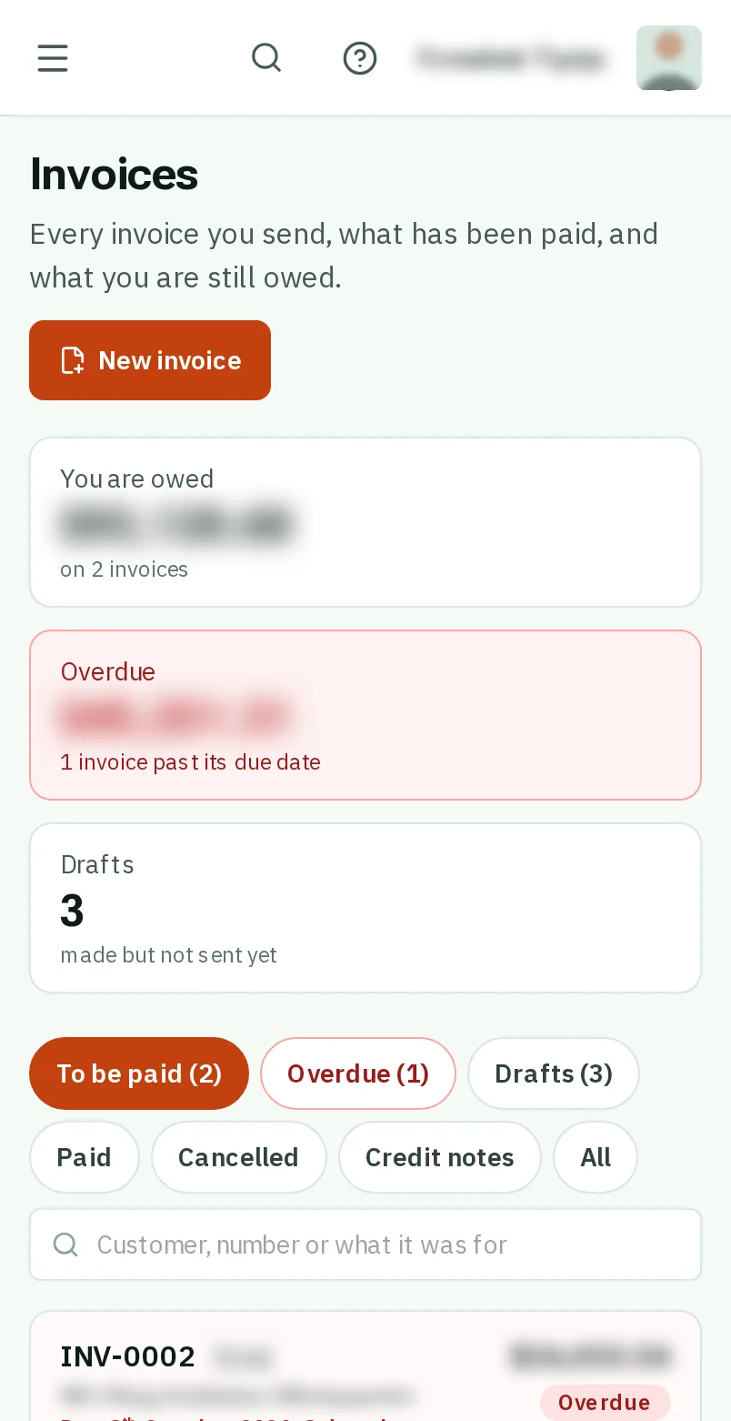 Open the invoice